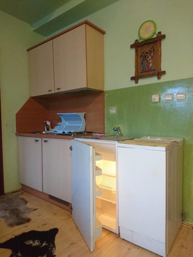 Apartment Vila Jezero Zlatibor Kültér fotó
